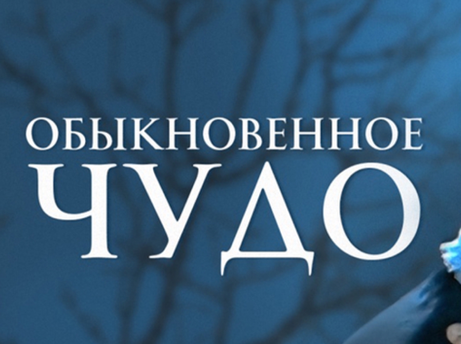 Картинка новости: Семейный фестиваль «Обыкновенное чудо»: праздник для каждой семьи